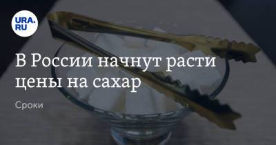 Александр Борисов - В России начнут расти цены на сахар. Сроки - ura.news