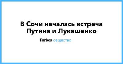 Владимир Путин - Дмитрий Песков - Александр Лукашенко - Михаил Мишустин - Роман Головченко - В Сочи началась встреча Путина и Лукашенко - forbes.ru - Москва - Сочи - Белоруссия - Минск