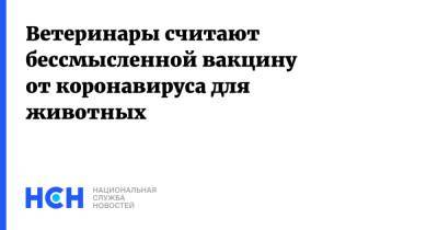 Ветеринары считают бессмысленной вакцину от коронавируса для животных - nsn.fm