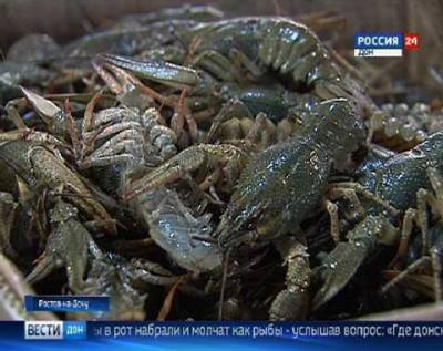 В Ростовской области задержали браконьеров, незаконно вылавливающих раков и рыбу - dontr.ru - Ростовская обл. - окр. Скфо