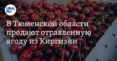 В Тюменской области продают отравленную ягоду из Киргизии - ura.news - Тюменская обл. - Киргизия