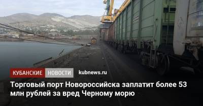 Торговый порт Новороссийска заплатит более 53 млн рублей за вред Черному морю - kubnews.ru - Краснодарский край - Новороссийск - Новороссийск - Черное Море - Экология