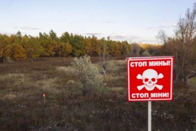 16-летняя девочка сбежала из "ДНР", перейдя минные поля - rupor.info - ДНР - Горловка