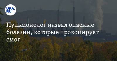 Пульмонолог назвал опасные болезни, которые провоцирует смог - ura.news