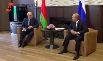 Владимир Путин - Дмитрий Песков - Александр Лукашенко - Президент России назвал белорусские события «всплеском эмоций» - fedpress.ru - Сочи - Минск