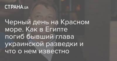 Петр Порошенко - Виктор Гвоздь - Черный день на Красном море. Как в Египте погиб бывший глава украинской разведки и что о нем известно - strana.ua - Египет