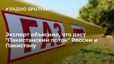 Сергей Пикин - Николай Шульгинов - Эксперт объяснил, что даст "Пакистанский поток" России и Пакистану - smartmoney.one - Москва - Пакистан