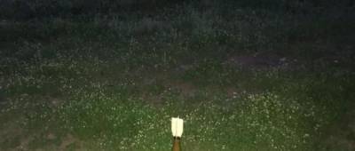 Боевики «ДНР» с беспилотника заминировали прифронтовое село на Донетчине: людей эвакуировали - w-n.com.ua - ДНР