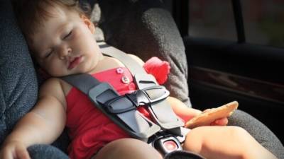 Мири Регев - В Израиле вводят новое правило перевозки детей в машинах: "Это что, еще один налог?" - vesty.co.il