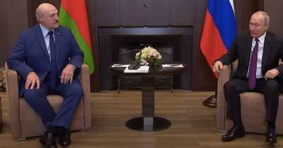Владимир Путин - Александр Лукашенко - Встреча Лукашенко и Путина: президент Беларуси прилетел в Сочи с "секретным чемоданчиком" (видео) - focus.ua - Россия - Украина - Сочи - Минск