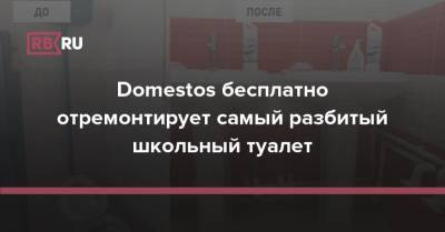 Domestos бесплатно отремонтирует самый разбитый школьный туалет - rb.ru - Россия