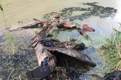 В тюменском пруду был найден автомобиль с человеческими костями - nakanune.ru