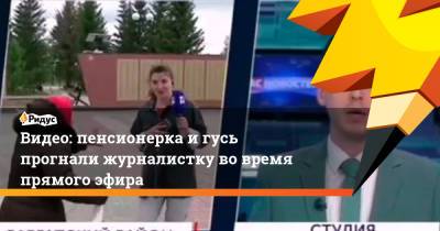 Видео: пенсионерка и гусь прогнали журналистку вовремя прямого эфира - ridus.ru - Омская обл.
