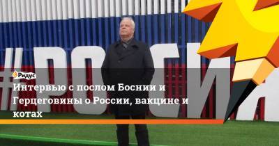 Интервью с послом Боснии и Герцеговины о России, вакцине и котах - ridus.ru - Сербия - Босния и Герцеговина