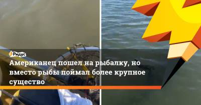 Американец пошел на рыбалку, но вместо рыбы поймал более крупное существо - ridus.ru - New York - шт. Южная Каролина