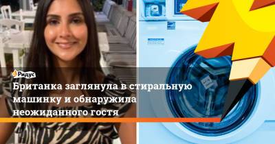 Британка заглянула в стиральную машинку и обнаружила неожиданного гостя - ridus.ru - Лондон