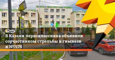 ВКазани первоклассника объявили соучастником стрельбы вгимназии № 175 - ridus.ru - Казань