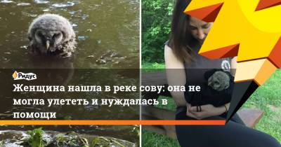 Женщина нашла в реке сову: она не могла улететь и нуждалась в помощи - ridus.ru - шт. Мэриленд
