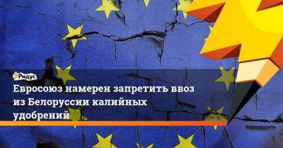 Роман Протасевич - Евросоюз намерен запретить ввоз изБелоруссии калийных удобрений - ridus.ru