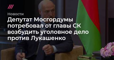 Роман Протасевич - Депутат Мосгордумы потребовал от главы СК возбудить уголовное дело против Лукашенко - tvrain.ru - Москва