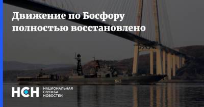 Движение по Босфору полностью восстановлено - nsn.fm - Турция - Стамбул - Судно