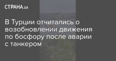 В Турции отчитались о возобновлении движения по босфору после аварии с танкером - strana.ua - Турция