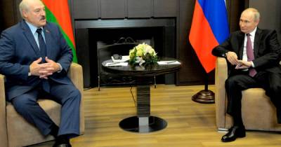 Владимир Путин - Дмитрий Песков - Александр Лукашенко - Переговоры Путина и Лукашенко в Сочи завершились спустя пять часов - ren.tv - Сочи - Минск