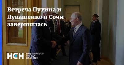 Владимир Путин - Дмитрий Песков - Александр Лукашенко - Роман Протасевич - Встреча Путина и Лукашенко в Сочи завершилась - nsn.fm - Сочи - Белоруссия - Минск - Ирландия