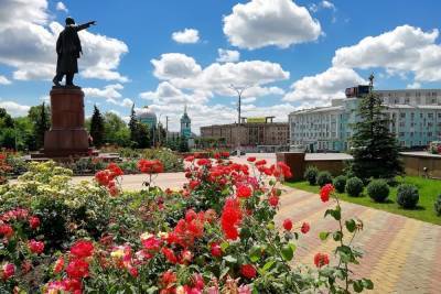 На улицах Курска появятся больше 200 тысяч цветов - chr.mk.ru - Курск
