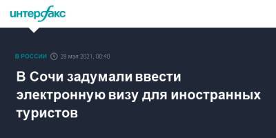 Леонид Слуцкий - Вениамин Кондратьев - В Сочи задумали ввести электронную визу для иностранных туристов - interfax.ru - Москва - Сочи - Краснодарский край