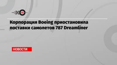 Корпорация Boeing приостановила поставки самолетов 787 Dreamliner - echo.msk.ru