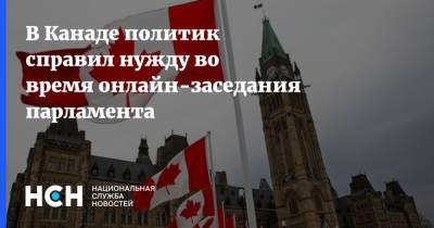 В Канаде политик справил нужду во время онлайн-заседания парламента - nsn.fm - Канада - Парламент