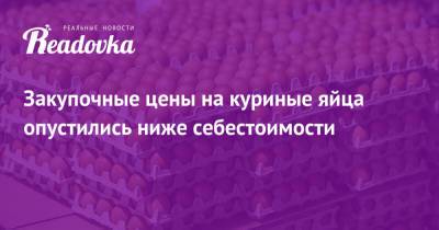 Закупочные цены на куриные яйца опустились ниже себестоимости - readovka.news