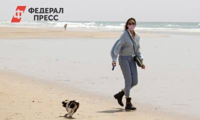Владимир Голубев - Каких домашних питомцев нельзя брать на пляж: рассказывает кинолог - fedpress.ru - Москва