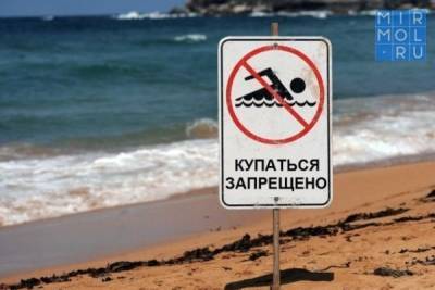 Роспотребнадзор Дагестана запретил купание на 6 пляжах Махачкалы - mirmol.ru - Махачкала - респ. Дагестан