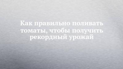Как правильно поливать томаты, чтобы получить рекордный урожай - chelny-izvest.ru