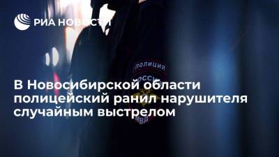 В Новосибирской области полицейский ранил нарушителя случайным выстрелом - ria.ru - Россия - Новосибирск - Новосибирская обл. - район Мошковский