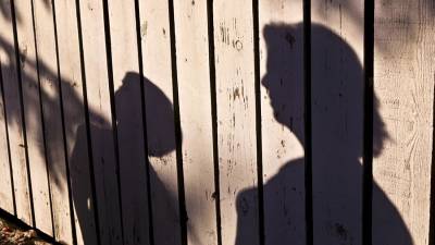 В Подмосковье опека изъяла детей из дома с антисанитарными условиями - iz.ru - Московская обл.