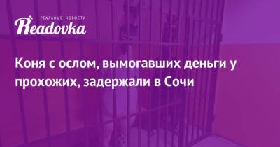 Коня с ослом, вымогавших деньги у прохожих, задержали в Сочи - readovka.news - Сочи - Нижний Новгород