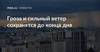 Гроза и сильный ветер сохранятся до конца дня - mos.ru - Москва