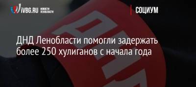 ДНД Ленобласти помогли задержать более 250 хулиганов с начала года - ivbg.ru - Ленинградская обл. - район Бокситогорский