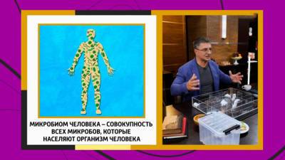 Мясников озвучил простые истины о микробиоме - vesti.ru