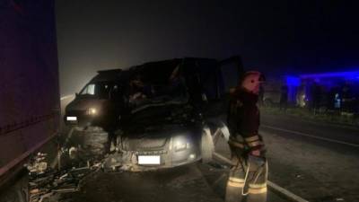 В ДТП с микроавтобусом под Тулой погиб человек - usedcars.ru - Крым - Тула - Тульская обл.