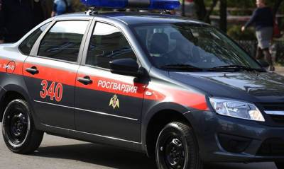 В Брянской области машина Росгвардии сбила двух детей на пешеходном переходе - og.ru - Брянская обл.