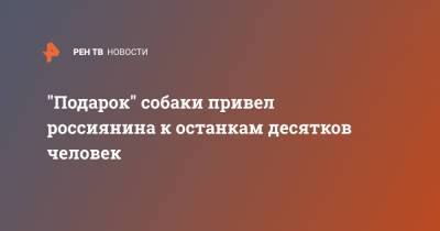 "Подарок" собаки привел россиянина к останкам десятков человек - ren.tv - Ленинградская обл. - р-н Всеволожский