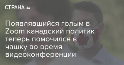 Появлявшийся голым в Zoom канадский политик теперь помочился в чашку во время видеоконференции - strana.ua - Канада