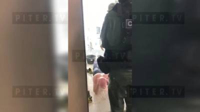 В Петербурге задержали подозреваемых в поджоге мебельного магазина - piter.tv - Ленинградская обл. - Санкт-Петербург