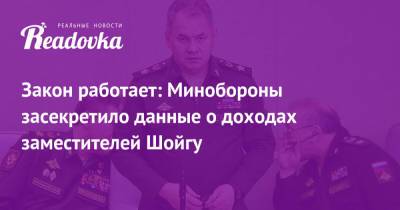 Сергей Шойгу - Алексей Криворучко - Закон работает: Минобороны засекретило данные о доходах заместителей Шойгу - readovka.ru