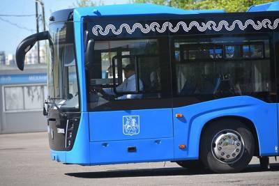 Дептранс назвал преимущества новых автобусов коммерческих перевозчиков - vm.ru - Москва
