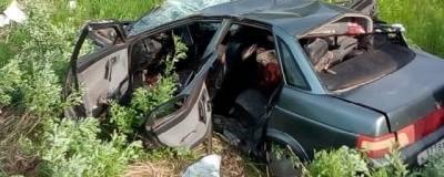 В аварии под Навлей погибла молодая женщина, ее 10-летняя дочь умерла в больнице - runews24.ru - Брянская обл.